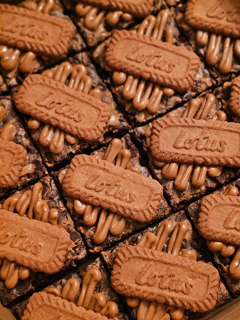 Lotus Biscoff Brownies